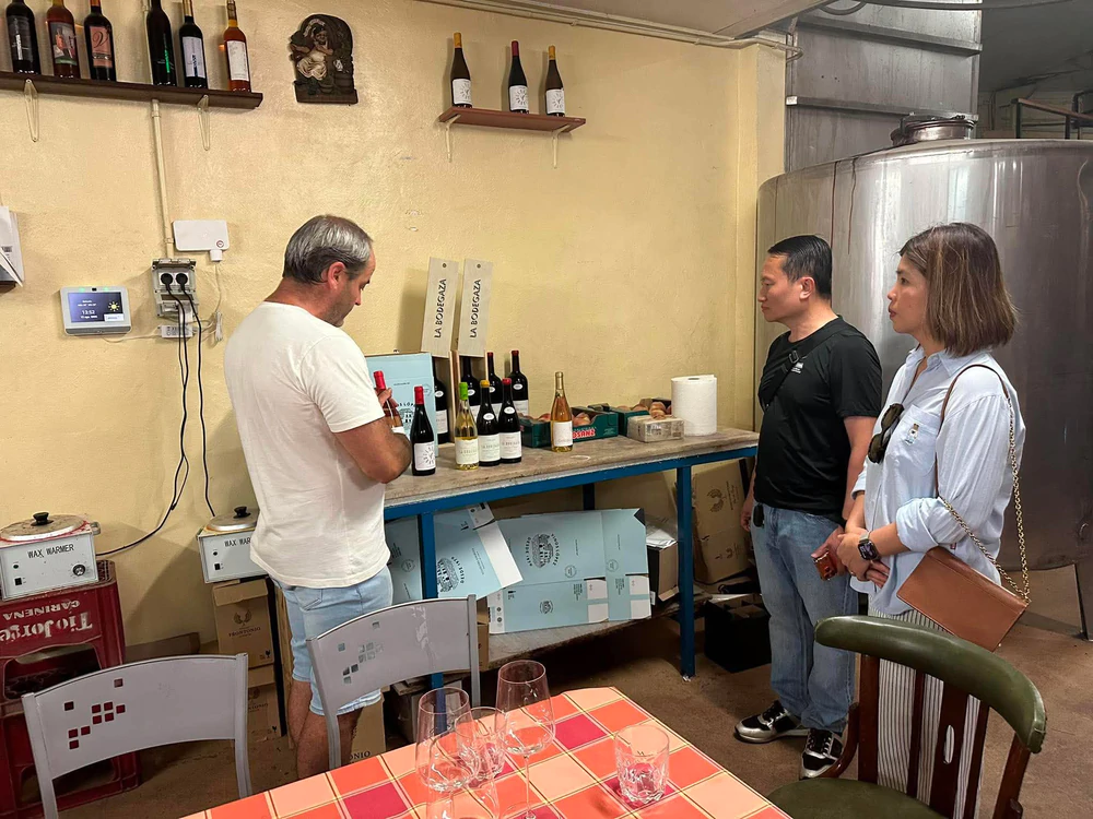 Câu chuyện từ một vườn nho ở Tây Ban Nha - Ảnh 9. Câu chuyện từ một vườn nho ở Tây Ban Nha - Ảnh 9.