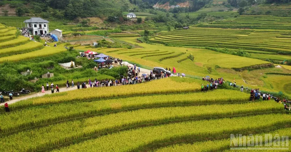 Vì một miền quê đáng sống: Sín Chéng mùa vàng ngân vang tiếng khèn - Ảnh 1. Vì một miền quê đáng sống: Sín Chéng mùa vàng ngân vang tiếng khèn - Ảnh 1.