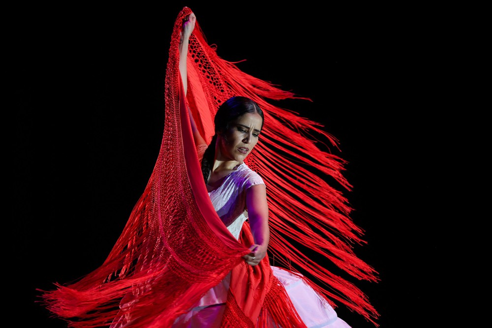 Bế mạc Lễ hội Flamenco quốc tế tại Mexico - Ảnh 3. Bế mạc Lễ hội Flamenco quốc tế tại Mexico - Ảnh 3.