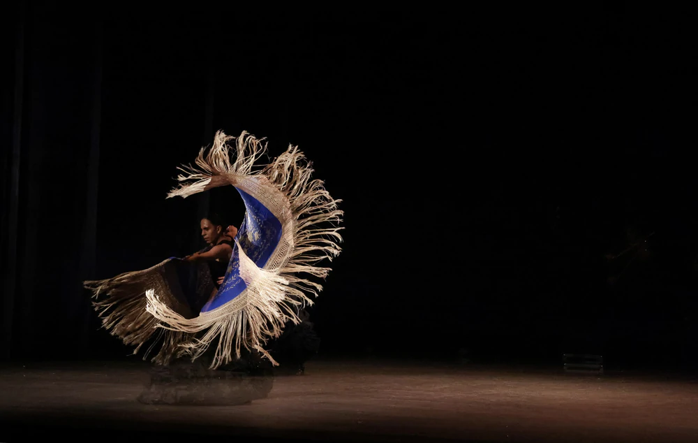 Bế mạc Lễ hội Flamenco quốc tế tại Mexico - Ảnh 2. Bế mạc Lễ hội Flamenco quốc tế tại Mexico - Ảnh 2.