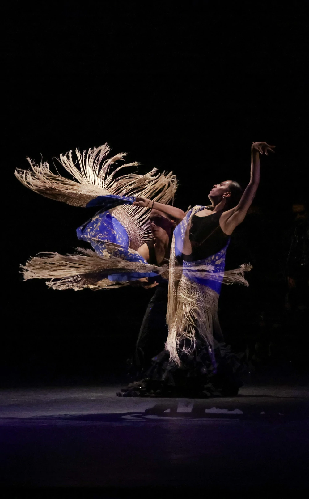 Bế mạc Lễ hội Flamenco quốc tế tại Mexico - Ảnh 5. Bế mạc Lễ hội Flamenco quốc tế tại Mexico - Ảnh 5.
