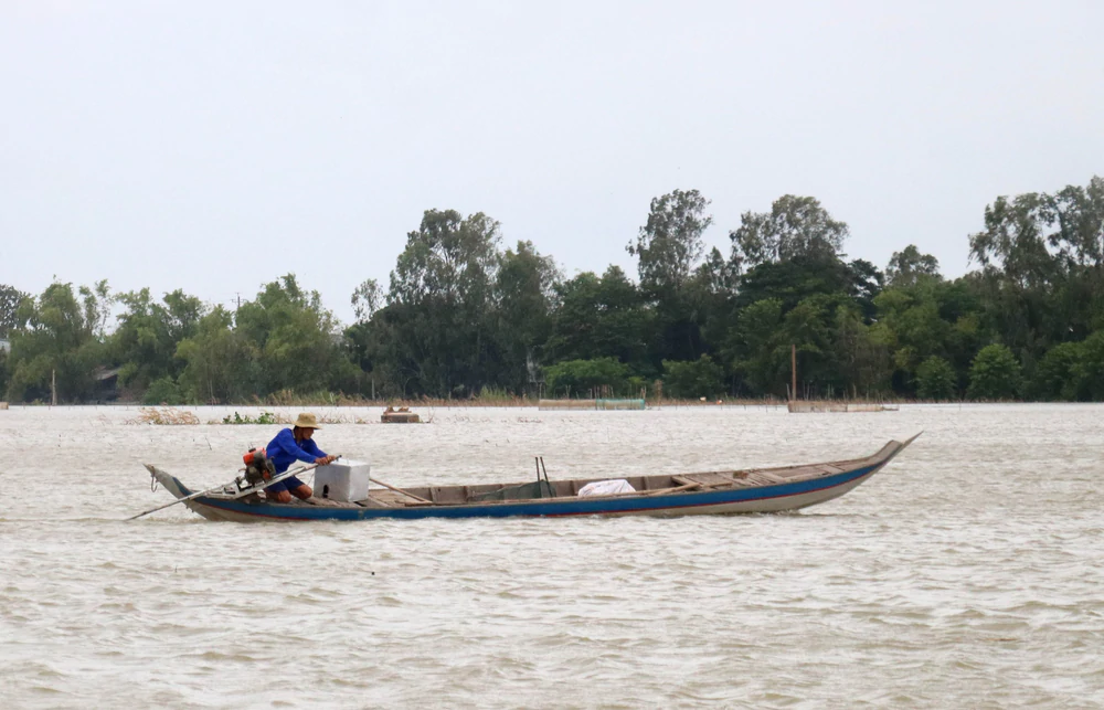 Mùa cá linh nơi đầu nguồn biên giới An Giang - Ảnh 4. Mùa cá linh nơi đầu nguồn biên giới An Giang - Ảnh 4.