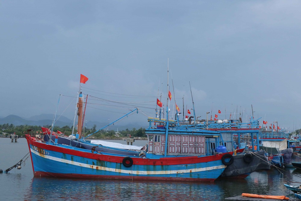 Đà Nẵng thông tin về việc tìm kiếm, cứu nạn tàu cá QNa-90859-TS - Ảnh 1. Đà Nẵng thông tin về việc tìm kiếm, cứu nạn tàu cá QNa-90859-TS - Ảnh 1.