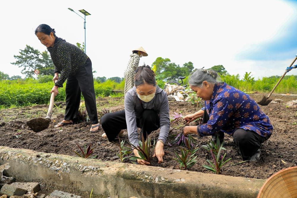 Xây dựng "đường găng" của mô hình xã xã hội chủ nghĩa tại Thư Lâm - Ảnh 6. Xây dựng "đường găng" của mô hình xã xã hội chủ nghĩa tại Thư Lâm - Ảnh 6.