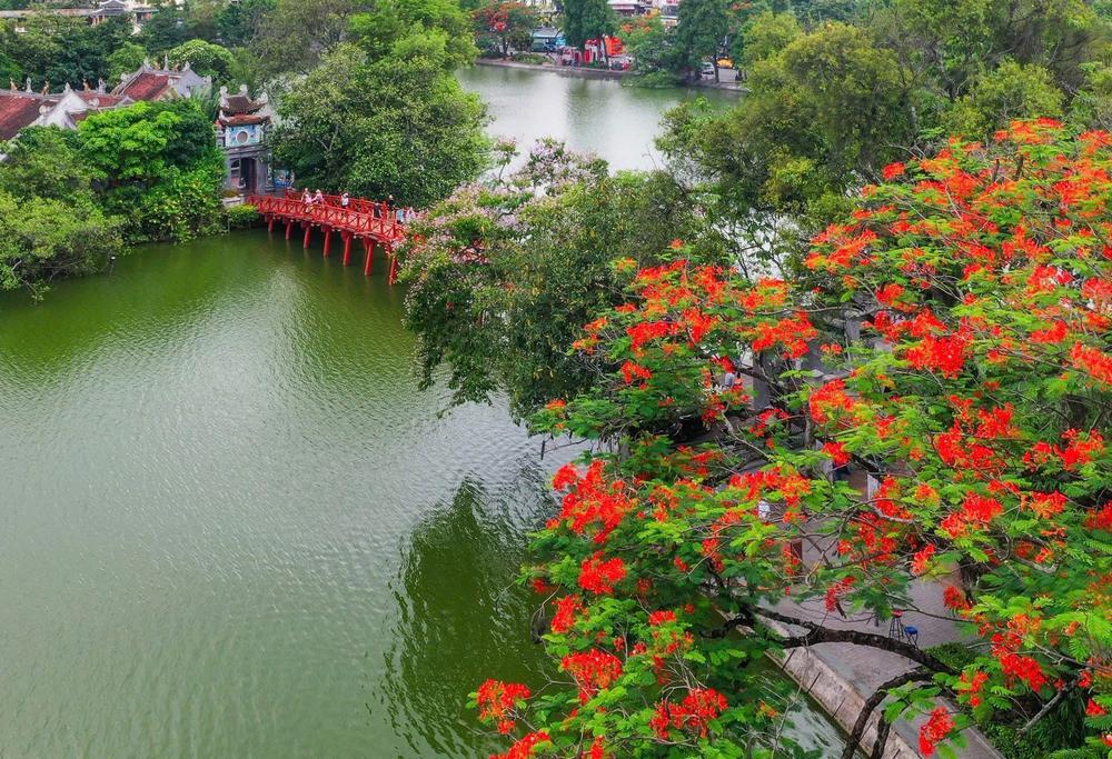 Lượng khách quốc tế tiếp tục tăng, ngành du lịch hoàn thành 56% mục tiêu - Ảnh 2.