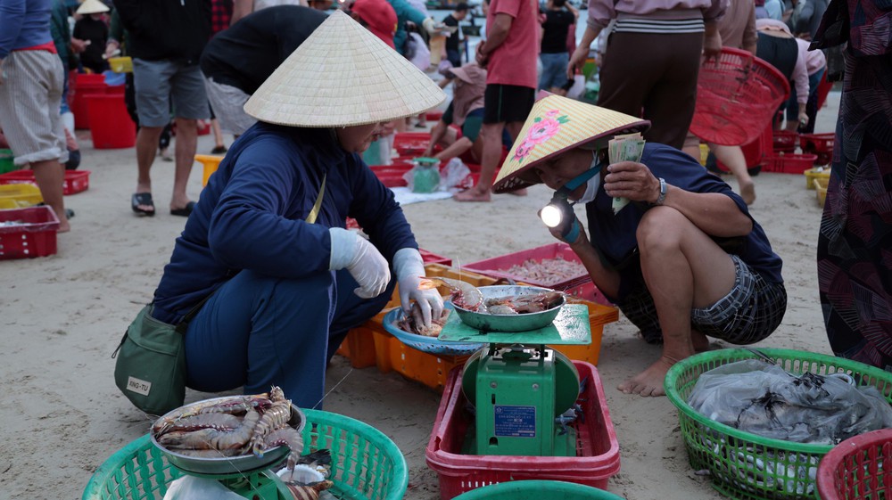 Ngư dân xã Tam Xuân (Đà Nẵng) trúng đậm chuyến biển trong dịp nghỉ lễ Quốc khánh 2/9 năm nay - Ảnh 7. Ngư dân xã Tam Xuân (Đà Nẵng) trúng đậm chuyến biển trong dịp nghỉ lễ Quốc khánh 2/9 năm nay - Ảnh 7.