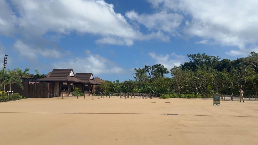 Junglia Okinawa - khu rừng phiêu lưu xanh giữa thiên nhiên - Ảnh 4. Junglia Okinawa - khu rừng phiêu lưu xanh giữa thiên nhiên - Ảnh 4.