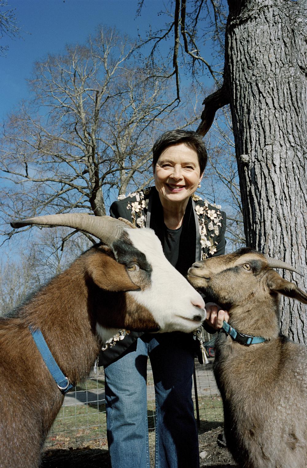 Isabella Rossellini: Từ "con gái của Ingrid Bergman" đến biểu tượng điện ảnh được LHP Locarno vinh danh - Ảnh 8. Isabella Rossellini: Từ "con gái của Ingrid Bergman" đến biểu tượng điện ảnh được LHP Locarno vinh danh - Ảnh 8.