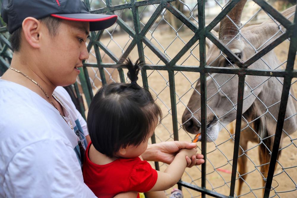 Hà Nội nghiên cứu mô hình công viên động vật bán hoang dã tại ngoại thành - Ảnh 1.