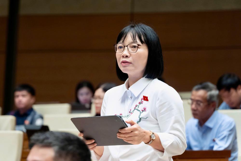 Sửa Luật Xuất bản: Hình thành 'ba vòng kiểm soát' tác phẩm về lãnh tụ, lịch sử - Ảnh 2. Sửa Luật Xuất bản: Hình thành 'ba vòng kiểm soát' tác phẩm về lãnh tụ, lịch sử - Ảnh 2.