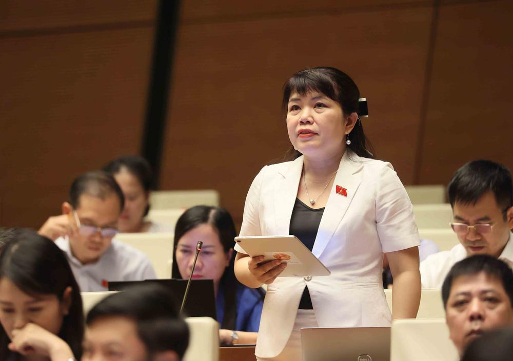 Kỳ họp không thường lệ thứ Nhất, Quốc hội khóa XVI: Hoàn thiện quy định về lưu chiểu, quản lý xuất bản phẩm điện tử - Ảnh 3. Kỳ họp không thường lệ thứ Nhất, Quốc hội khóa XVI: Hoàn thiện quy định về lưu chiểu, quản lý xuất bản phẩm điện tử - Ảnh 3.
