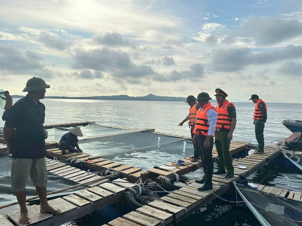 Chủ động ứng phó với áp thấp nhiệt đới trên Biển Đông  - Ảnh 1.