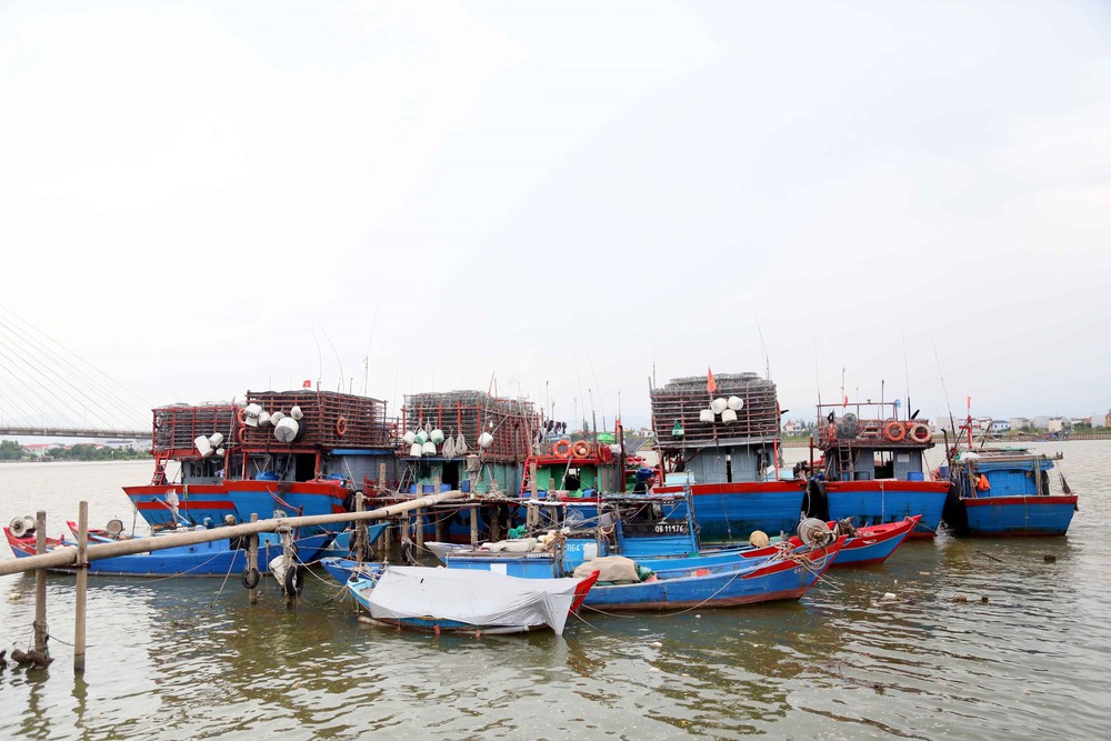 Khẩn trương đưa tàu thuyền vào nơi tránh trú áp thấp nhiệt đới - Ảnh 1. Khẩn trương đưa tàu thuyền vào nơi tránh trú áp thấp nhiệt đới - Ảnh 1.