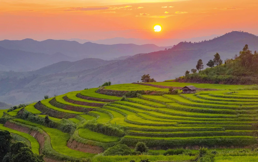 Vẻ đẹp ruộng bậc thang Pu Nhi, Điện Biên - Ảnh 3.