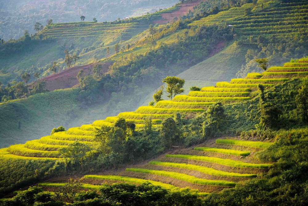 Vẻ đẹp ruộng bậc thang Pu Nhi, Điện Biên - Ảnh 6.