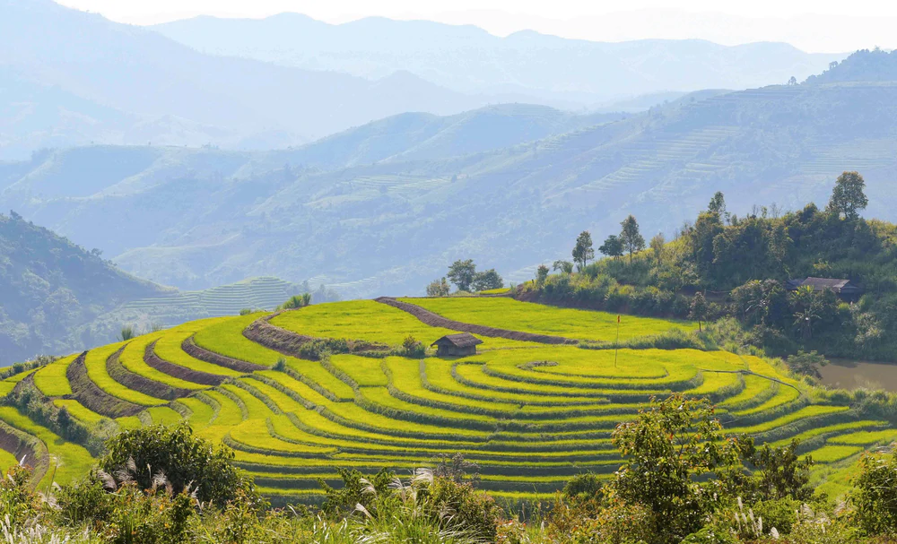 Vẻ đẹp ruộng bậc thang Pu Nhi, Điện Biên - Ảnh 8.