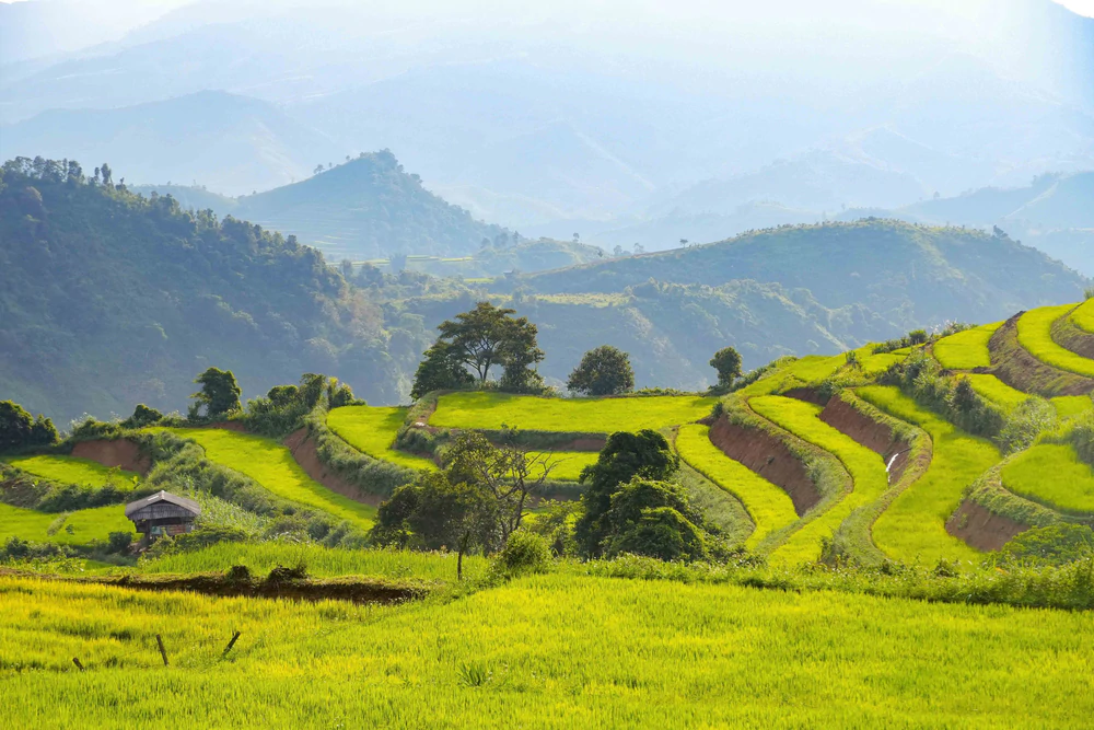Vẻ đẹp ruộng bậc thang Pu Nhi, Điện Biên - Ảnh 7.