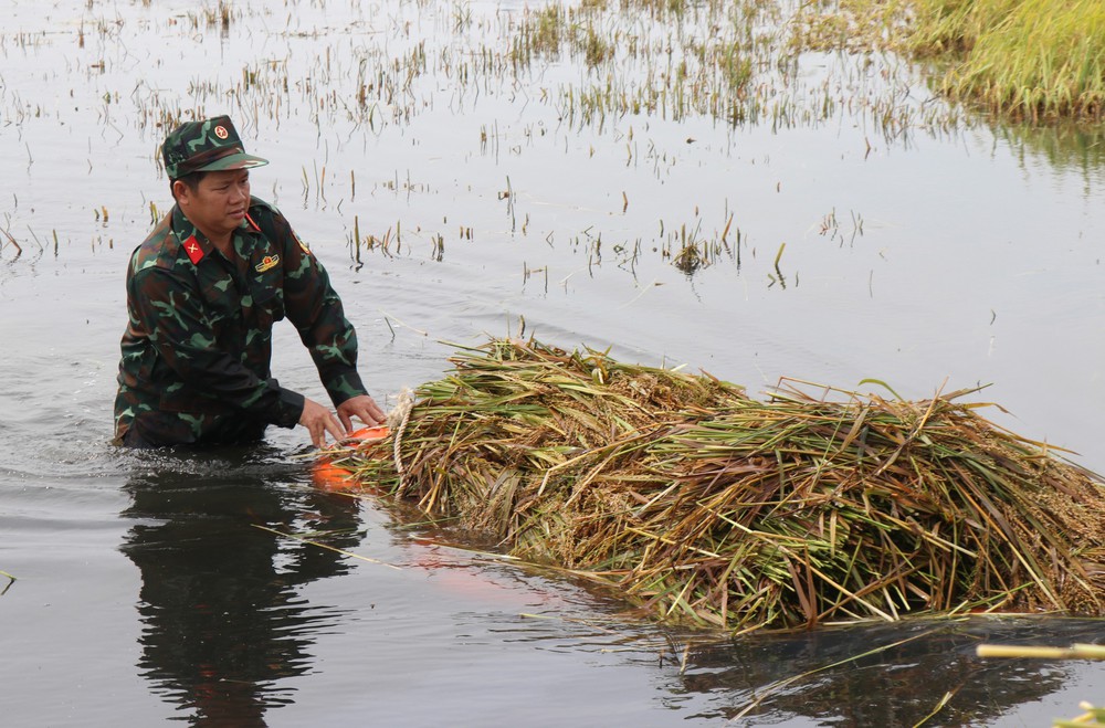 Bộ đội, dân quân dầm mưa giúp dân Quang Ngãi “cứu” lúa - Ảnh 6.