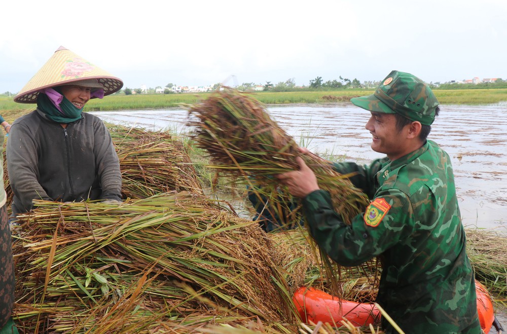 Bộ đội, dân quân dầm mưa giúp dân Quang Ngãi “cứu” lúa - Ảnh 8.