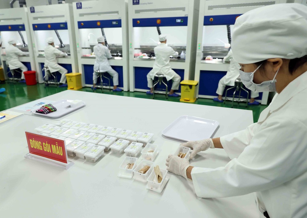 Phó Thủ tướng Phạm Thị Thanh Trà: Xác định danh tính hài cốt liệt sĩ đòi hỏi sự kiên trì, nguồn lực và nỗ lực của cả hệ thống chính trị - Ảnh 7.
