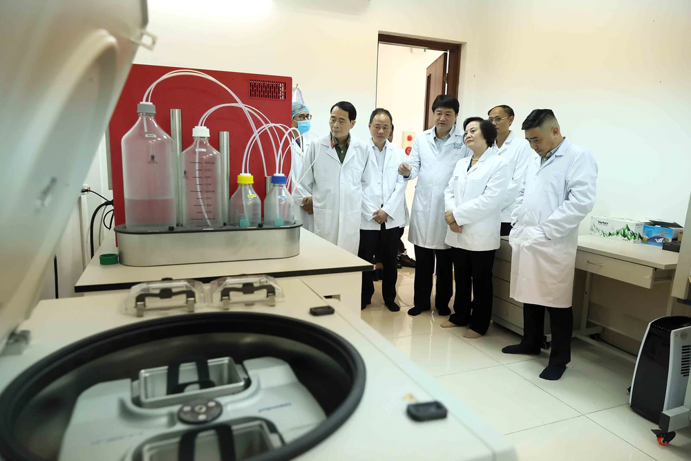 Phó Thủ tướng Phạm Thị Thanh Trà: Xác định danh tính hài cốt liệt sĩ đòi hỏi sự kiên trì, nguồn lực và nỗ lực của cả hệ thống chính trị - Ảnh 2.