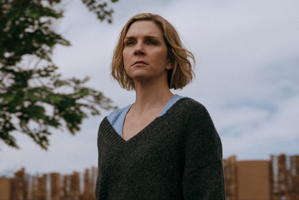 Rhea Seehorn - Chạm tay vào Emmy sau 30 năm bền bỉ - Ảnh 2. Rhea Seehorn - Chạm tay vào Emmy sau 30 năm bền bỉ - Ảnh 2.