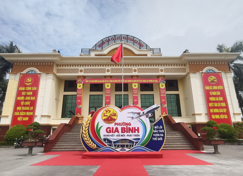 Bắc Ninh lan tỏa tự hào, tạo khí thế mới trước ngày lên thành phố - Ảnh 1.