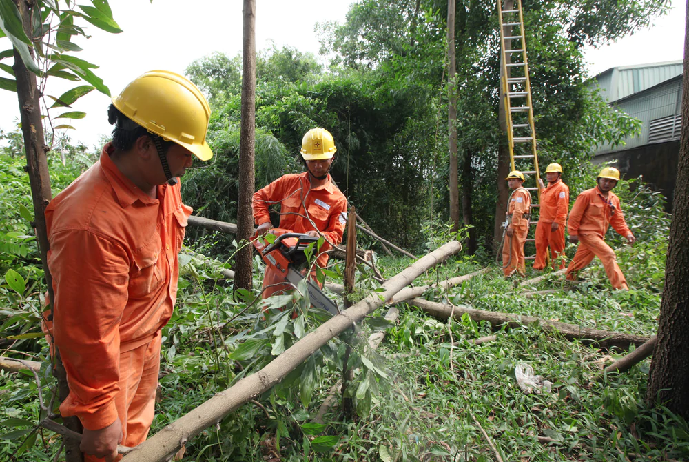EVN tập trung bảo đảm điện trong mùa mưa bão - Ảnh 2. EVN tập trung bảo đảm điện trong mùa mưa bão - Ảnh 2.