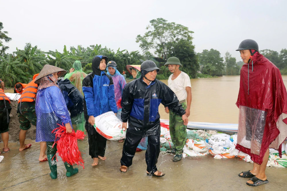 Nước sông Bùi vượt báo động 3, hàng trăm hộ dân phải di dời - Ảnh 1. Nước sông Bùi vượt báo động 3, hàng trăm hộ dân phải di dời - Ảnh 1.