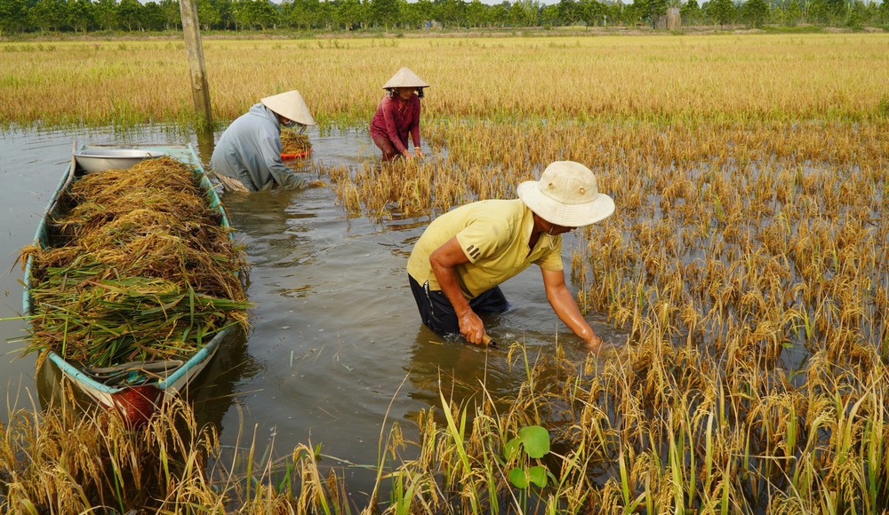 Nam Bộ sắp đón đợt mưa lớn, TP. Hồ Chí Minh chủ động ứng phó ngập úng - Ảnh 2. Nam Bộ sắp đón đợt mưa lớn, TP. Hồ Chí Minh chủ động ứng phó ngập úng - Ảnh 2.