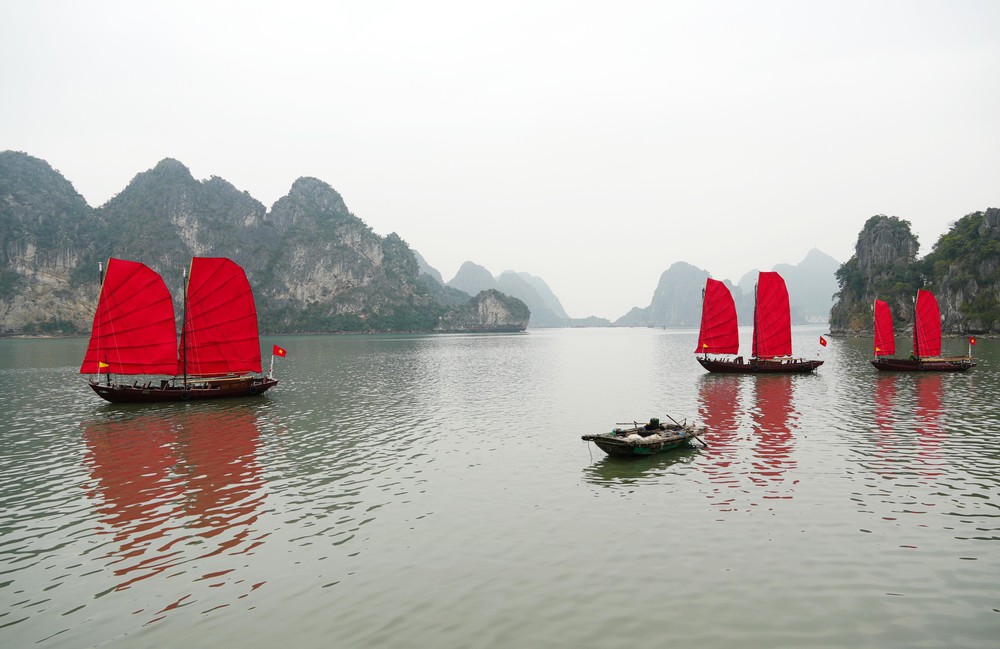 Thành phố Quảng Ninh đăng cai tổ chức Hội nghị Lữ hành toàn quốc năm 2026 - Ảnh 4. Thành phố Quảng Ninh đăng cai tổ chức Hội nghị Lữ hành toàn quốc năm 2026 - Ảnh 4.