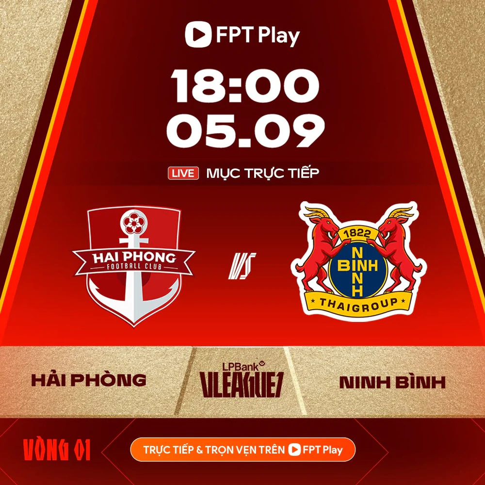 Link xem trực tiếp bóng đá Hải Phòng vs Ninh Bình 18h00 hôm nay, V-League 2025/26 - Ảnh 2.