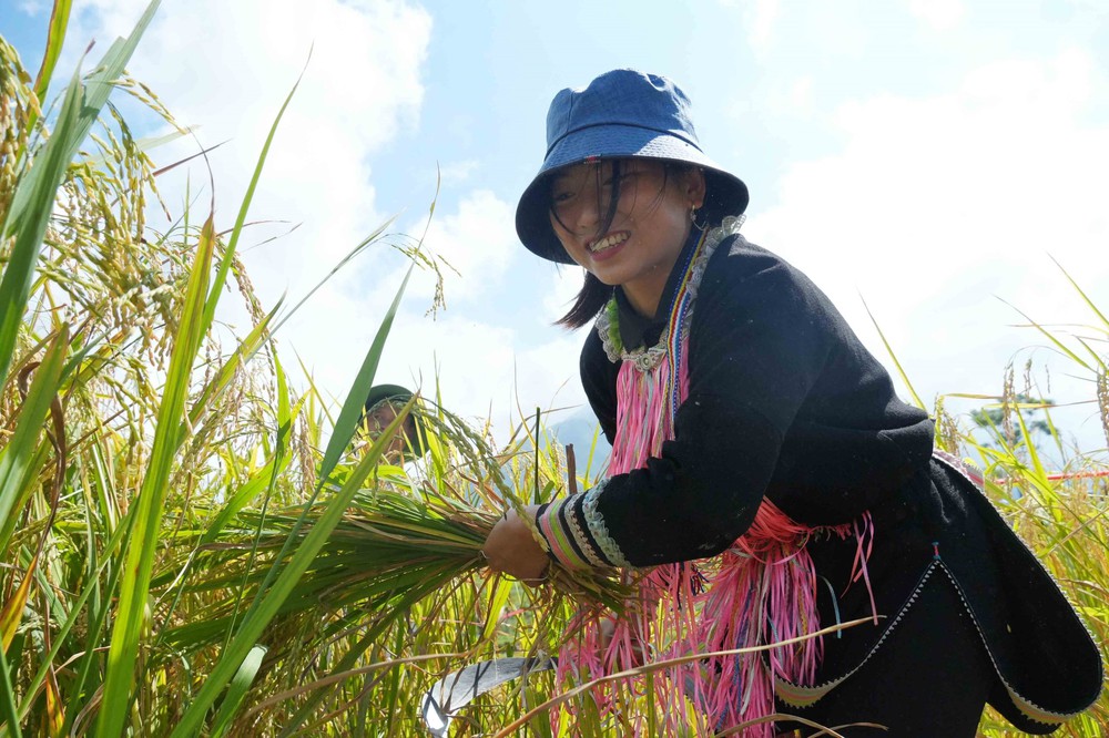 Đặc sắc Ngày hội Mùa vàng Tả Lèng - Ảnh 5. Đặc sắc Ngày hội Mùa vàng Tả Lèng - Ảnh 5.