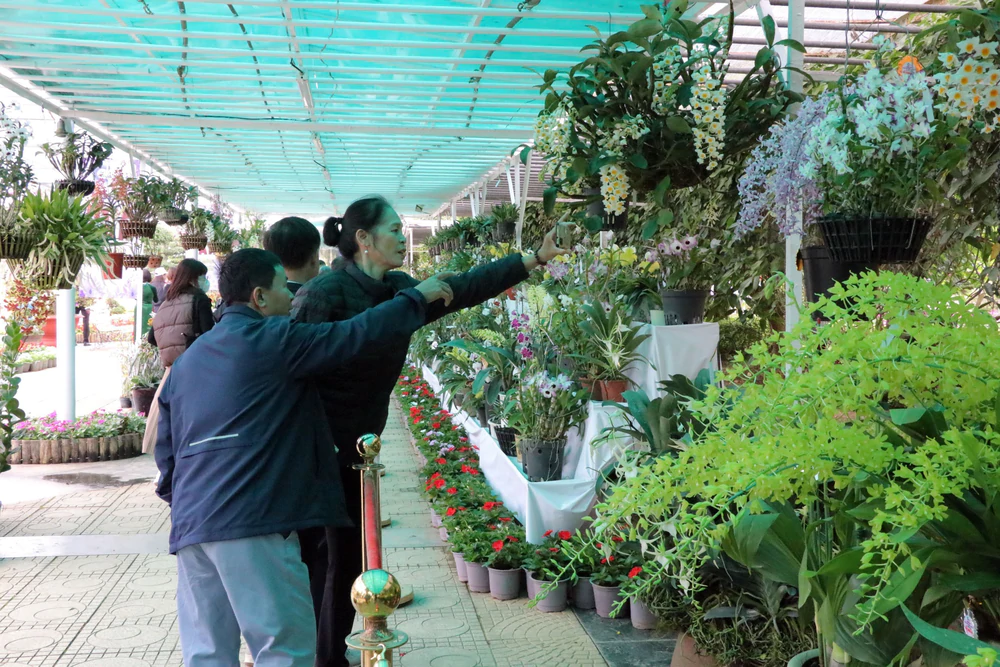 Lâm Đồng quy hoạch 5 phường trung tâm Đà Lạt thành đô thị năng động, bền vững - Ảnh 3. Lâm Đồng quy hoạch 5 phường trung tâm Đà Lạt thành đô thị năng động, bền vững - Ảnh 3.