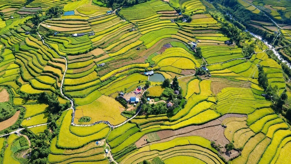 Đặc sắc Ngày hội Mùa vàng Tả Lèng giữa không gian núi rừng Tây Bắc - Ảnh 1. Đặc sắc Ngày hội Mùa vàng Tả Lèng giữa không gian núi rừng Tây Bắc - Ảnh 1.