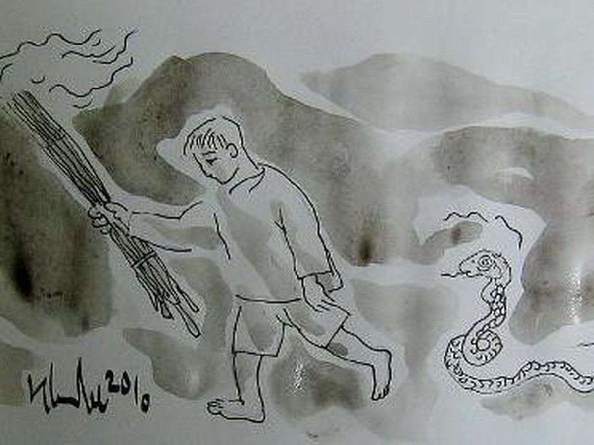 thethaovanhoa.vn