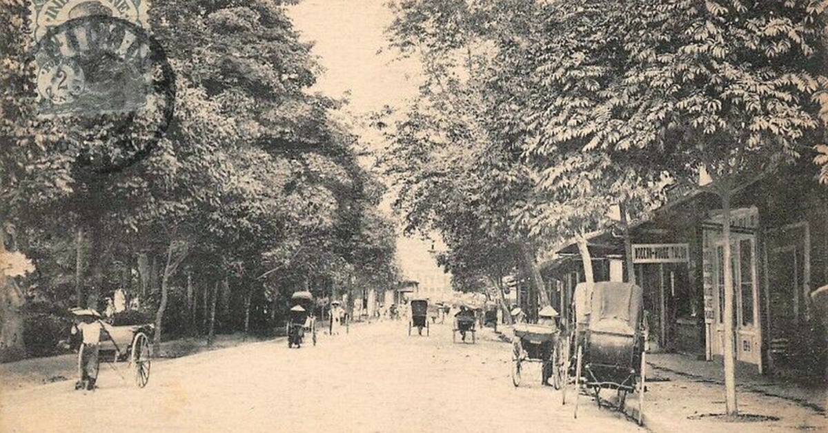 thethaovanhoa.vn