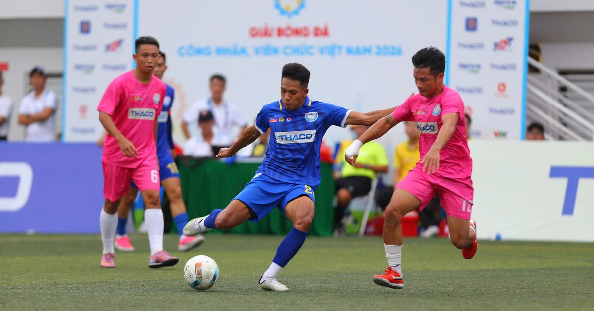 Bài viết