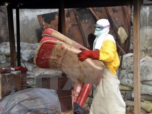 Dịch Ebola đe dọa thành tựu về phòng chống bệnh sốt rét
