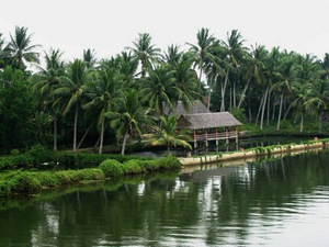 Chùm ảnh du lịch: Quảng Ngãi, 'Người đẹp ngủ trong rừng'