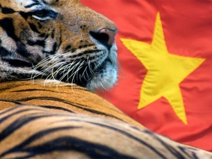 Báo Nga: Việt Nam có thể trở thành một 'con hổ' mới của châu Á