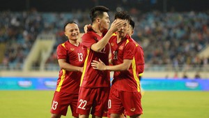 Danh sách tuyển Việt Nam dự AFF Cup 2022