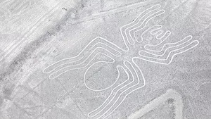 Phát hiện mới hơn 100 hình vẽ cổ đại tại đồng bằng Nazca ở Peru