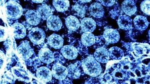 Các nhà khoa học Anh mở rộng giải trình tự gene đối với virus gây các bệnh hô hấp ngoài Covid-19