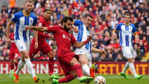 Dự đoán tỉ số trận Brighton vs Liverpool: Không dễ cho đội khách