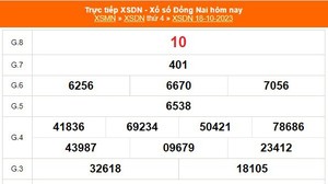 XSDN 1/11, kết quả Xổ số Đồng Nai hôm nay 1/11/2023, kết quả XSDN ngày 1 tháng 11