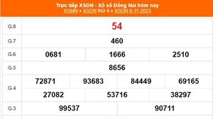 XSDN 15/11, trực tiếp xổ số Đồng Nai hôm nay 15/11/2023, kết quả xổ số ngày 15 tháng 11