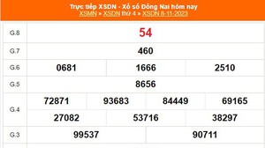 XSDN 8/11, kết quả xổ số Đồng Nai hôm nay 8/11/2023, trực tiếp XSDN ngày 8 tháng 11