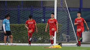 Cựu trợ lý thầy Park chọn Indonesia, ‘đối đầu’ đội tuyển Việt Nam tại ASIAN Cup 2023