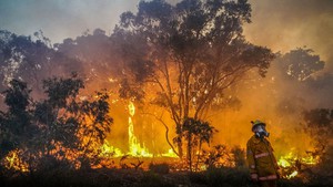 Australia: Cảnh báo nguy cơ hỏa hoạn do nắng nóng thiêu đốt